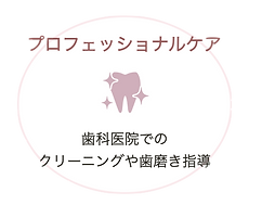 プロフェッショナルケア